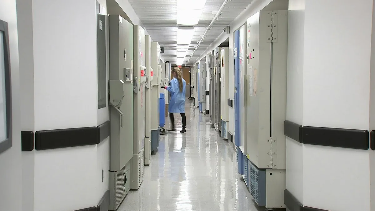Emergency Department Throughput